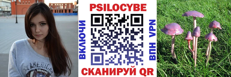 как найти   Усмань  Галлюциногенные грибы ЛСД 